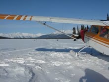 My Citabria aircraft sitting on the Selby Lake ice on skis - lined up with the spruce bough marked 