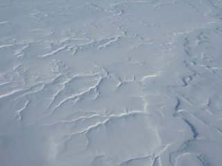 Even though so much of the treeless Arctic is a flat expanse of white, beautiful patters of wind erosion in the snow can be enjoyed.