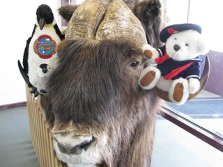 They also made friends with one of the local